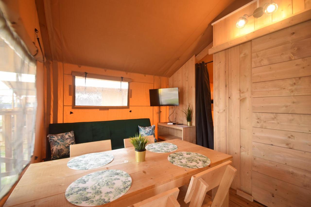 Luxury tent Baza Maciejowka