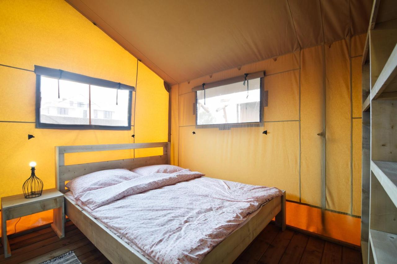 Luxury tent Baza Maciejowka *